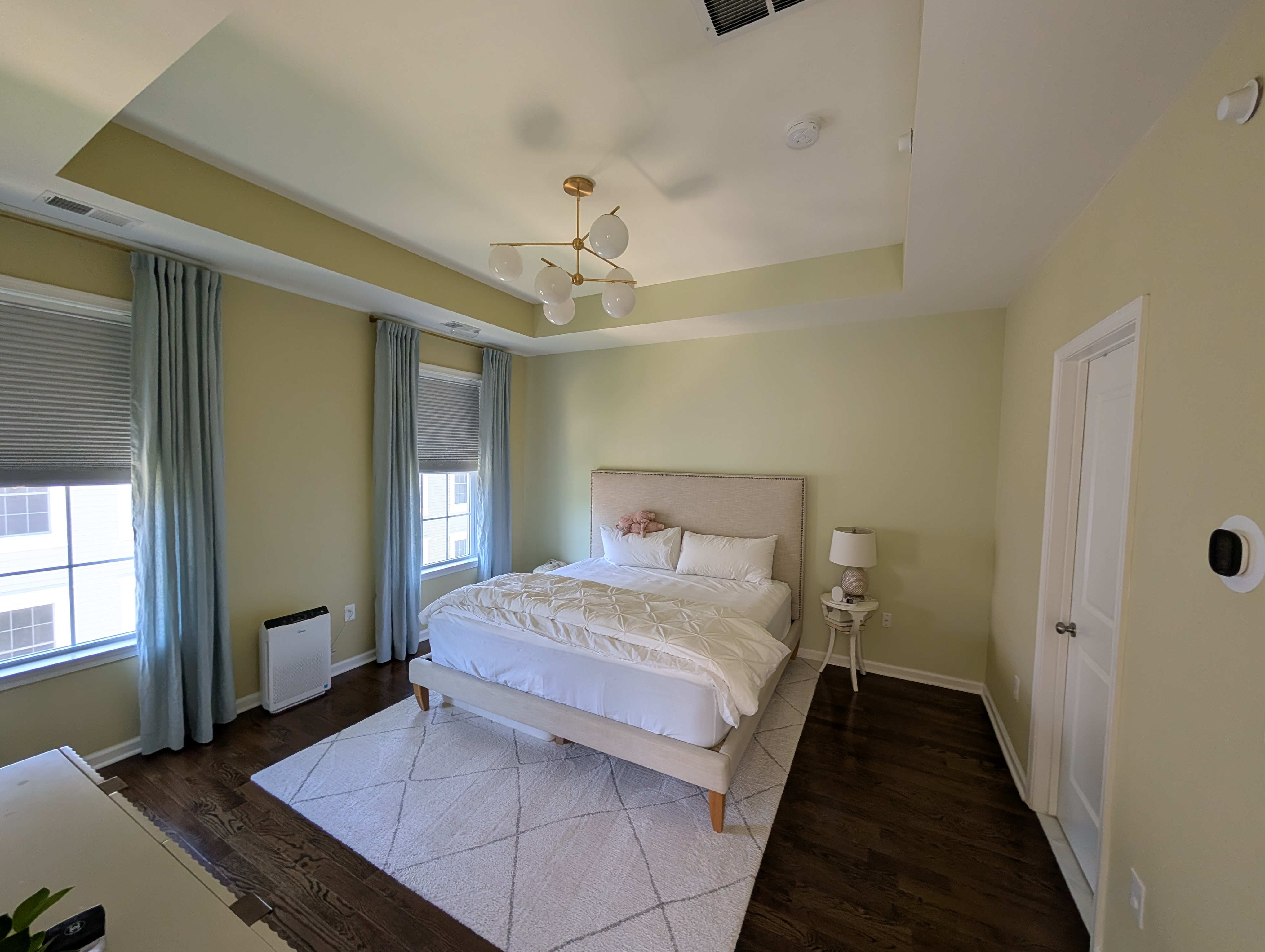 Primary bedroom with tray ceiling